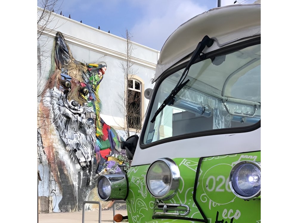 Private Lisbon Street Art Tuk Tuk Tour | Vhils, Bordalo II