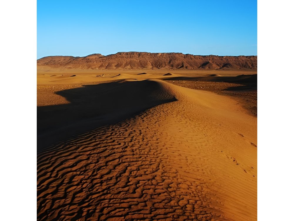Excursion from Marrakech to Zagora