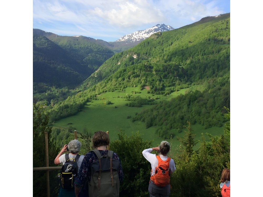Day Tour to Mirepoix, Montségur, Camon. Private tour from Carcassonne