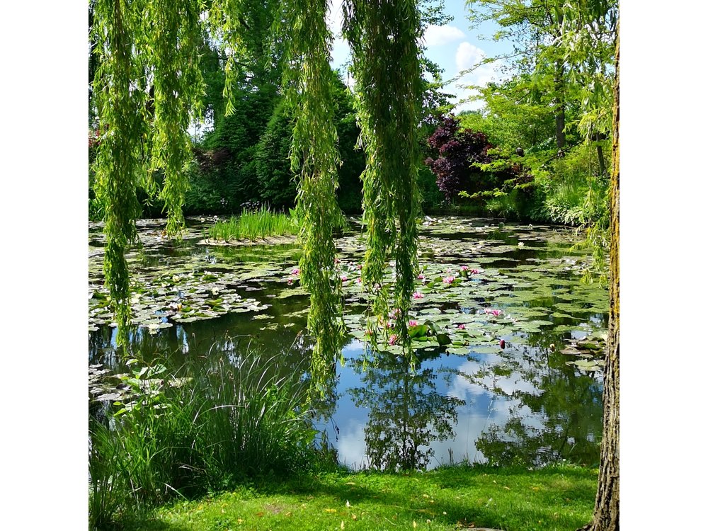 Private Tour: Rouen and Giverny Day Trip from Bayeux