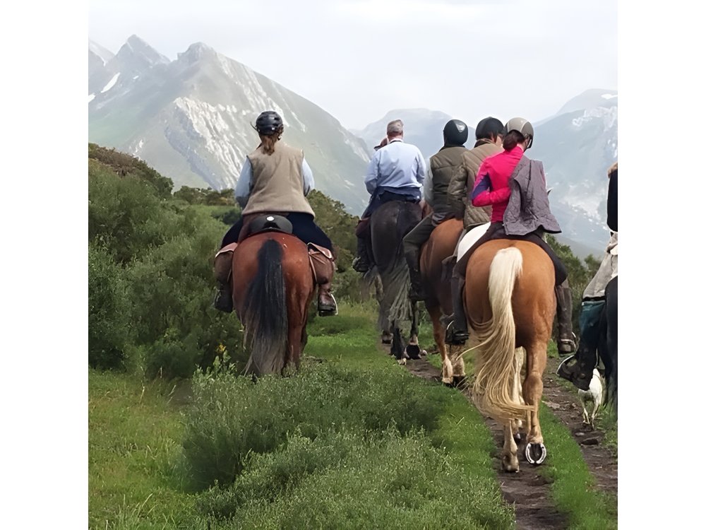 Horse Riding Madrid Natural Park (long Trip)