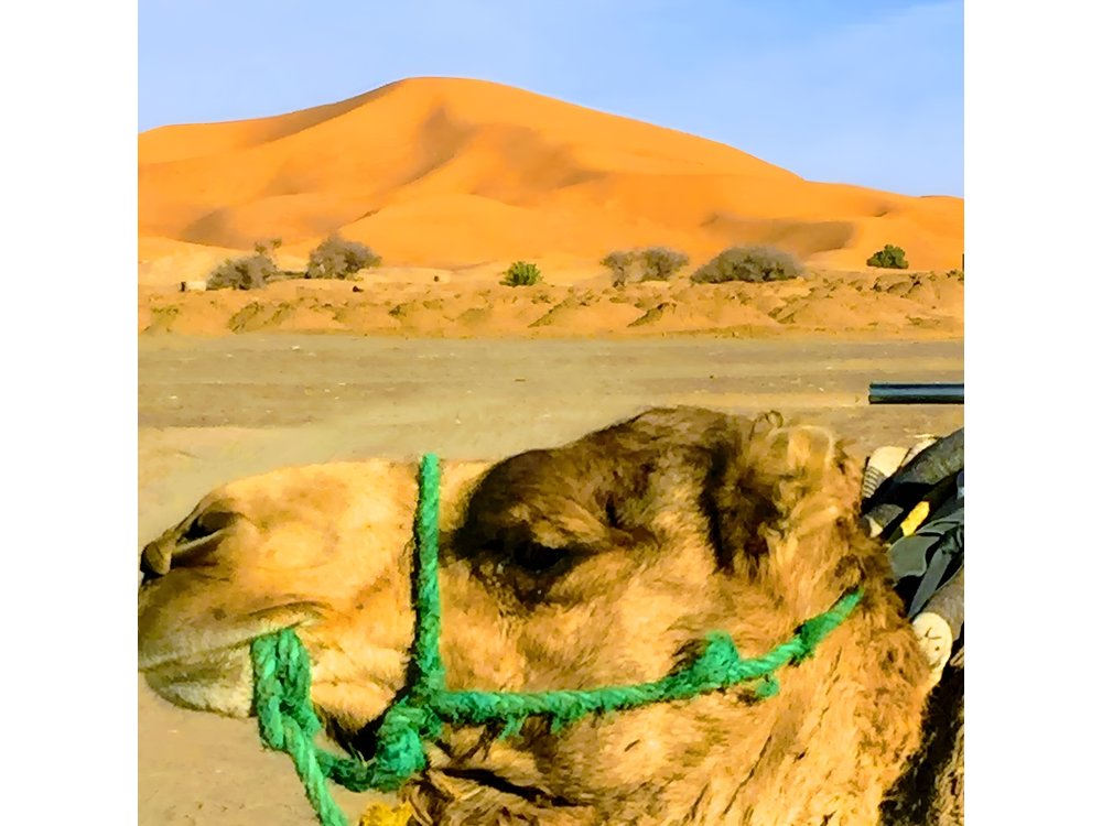 5 Days tours from Tangier to Chefchaouen, Fez, Merzouga Desert and Marrakech