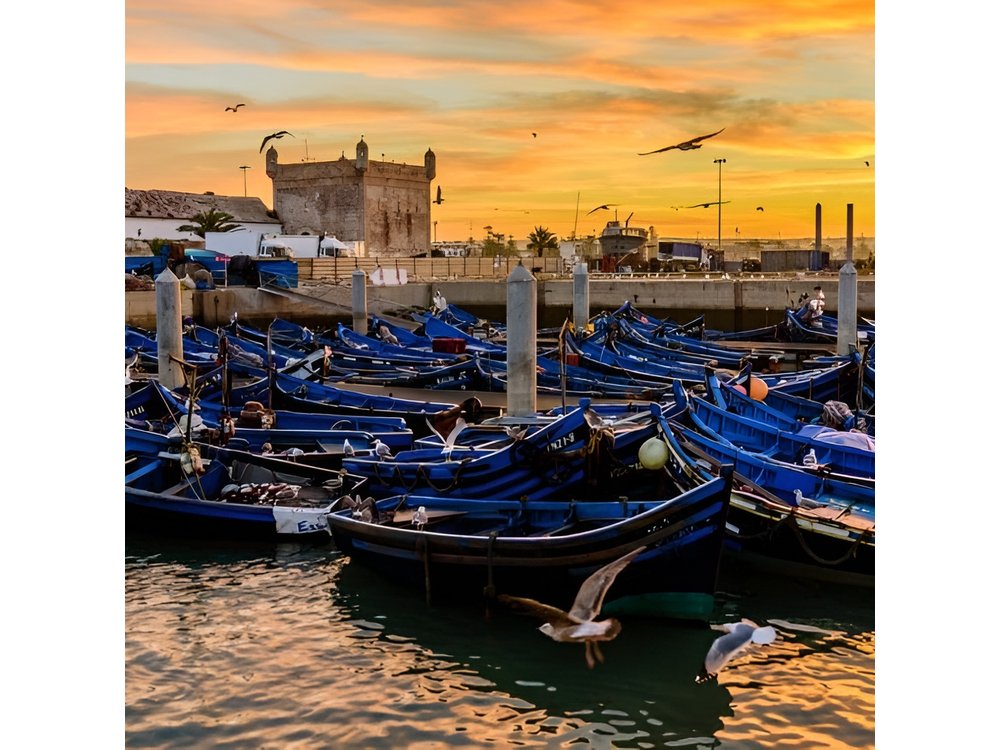 Essaouira Day Trip from Marrakech