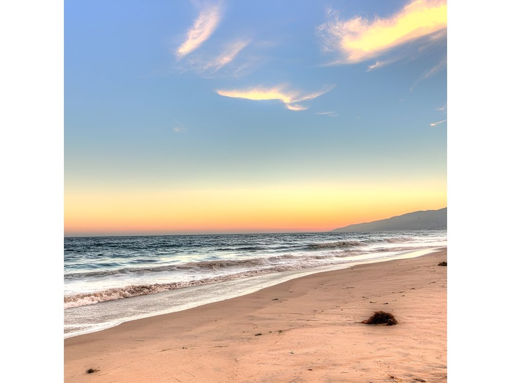 Los Angeles Coast and Beaches Private Tour