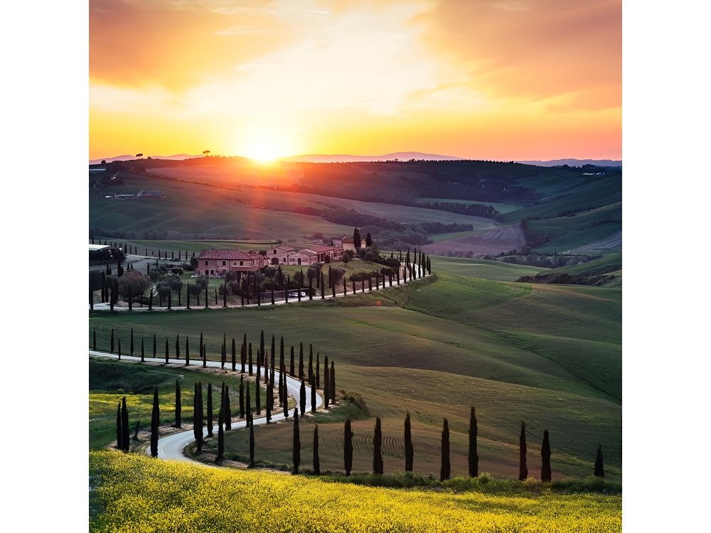 Tuscany Wine Tasting and Lunch Private Day Trip from Rome
