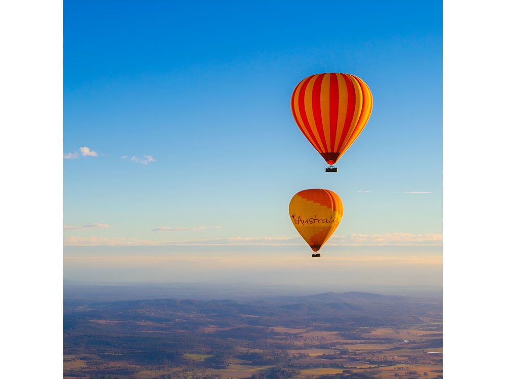 Gold Coast Hot Air Balloon + Winery Breakfast + Alpaca Experience