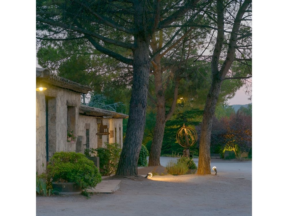 Half Day Private Wine & Oil Tasting Tour near Barcelona with hotel pick up