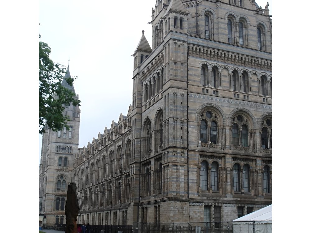 A Day at the Museum - Natural History Museum London
