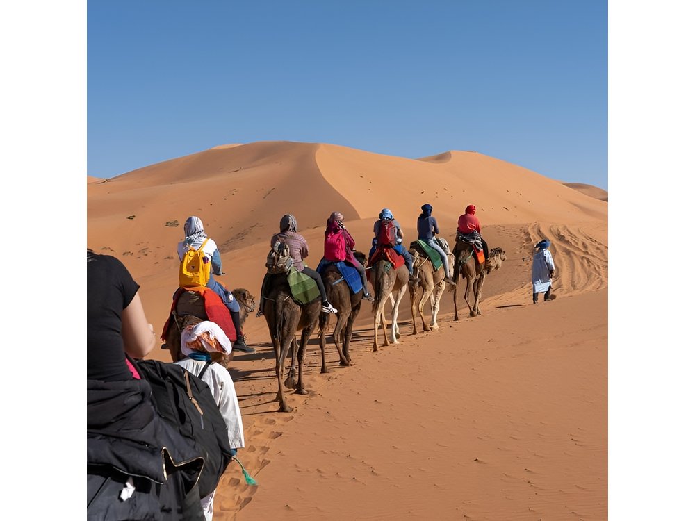 3 Day Marrakech to Fes desert Tour - Camel Trek