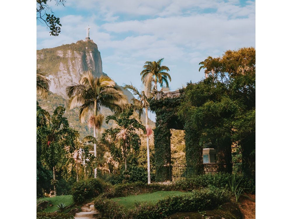 Rio de Janeiro Botanical Garden & Tijuca Forest Tour