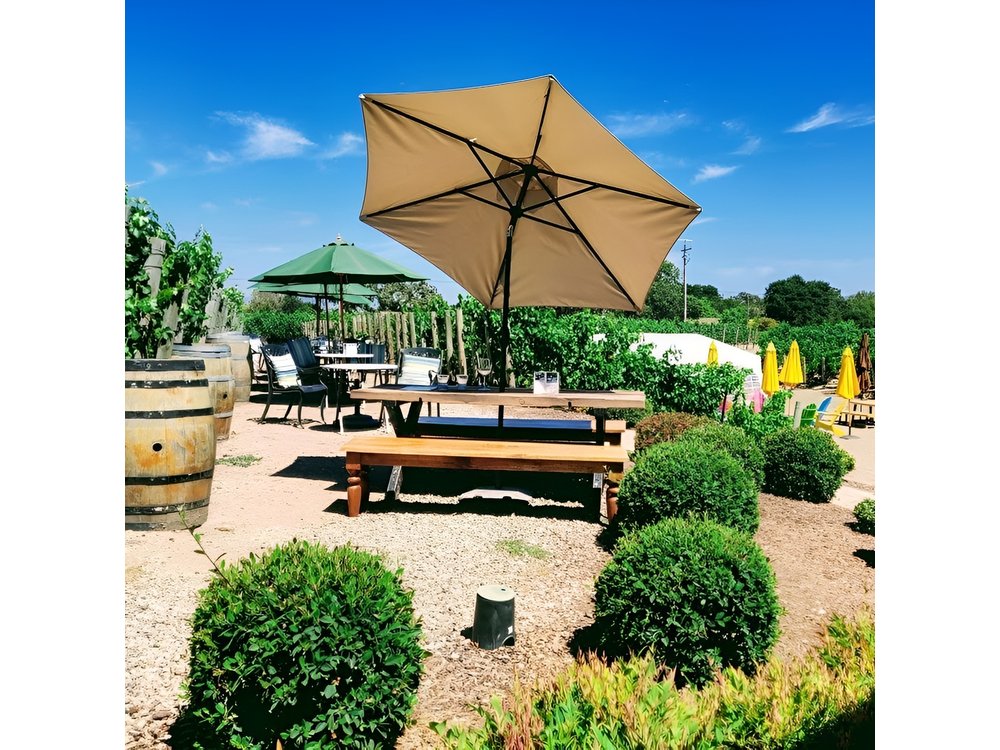 Santa Barbara Wine Tasting Day Tour from Los Angeles