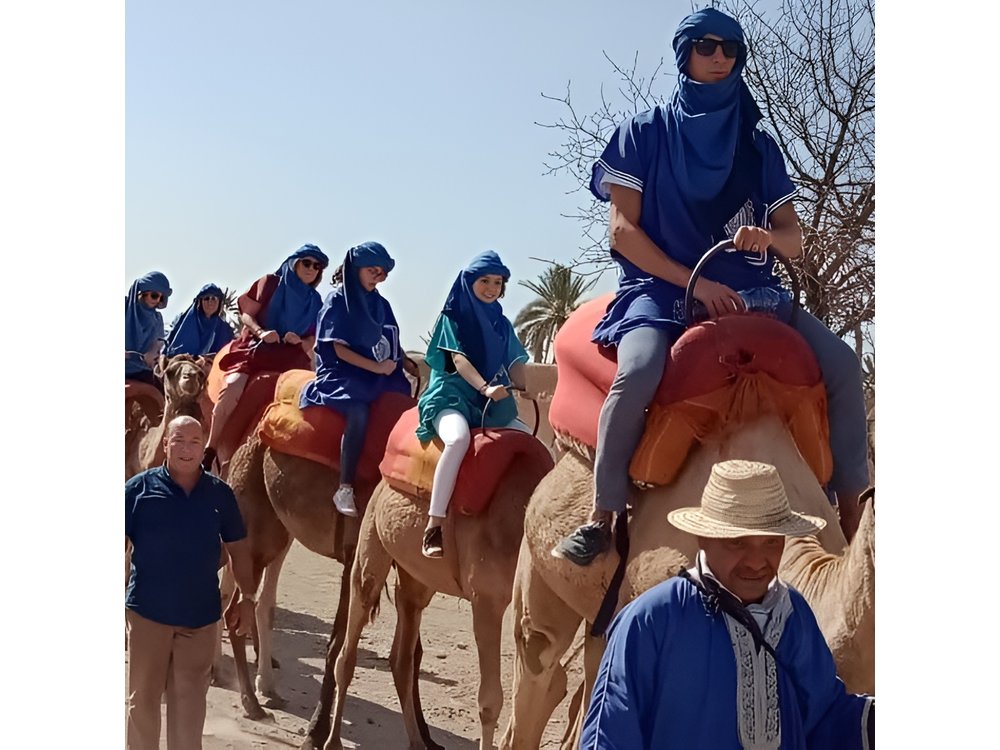 Marrakech camel ride in Palm grove