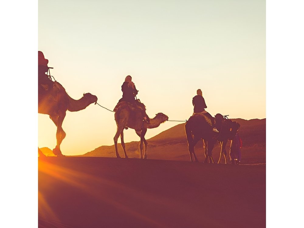 Luxury Overnight Sahara Desert trip fez Back to Fez or Marrakech