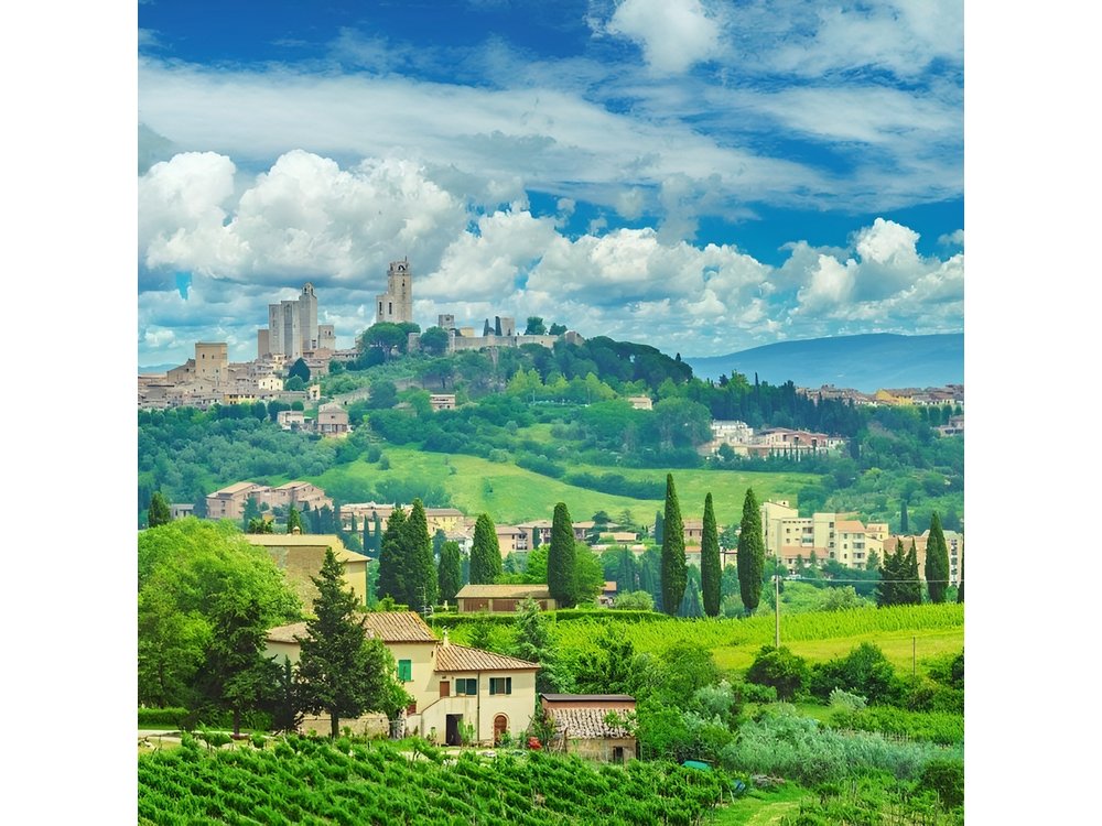 Private Day Trip Tuscany Landscape and Wine Tasting from Florence
