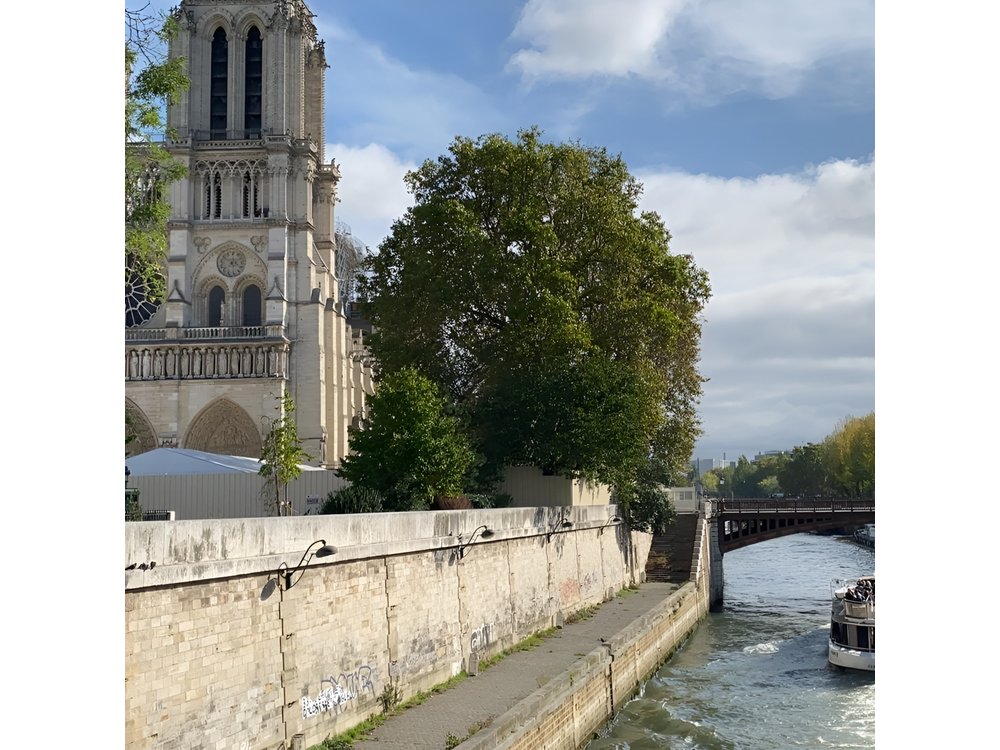 Paris Highlights Tour: Notre-Dame & Louvre Semi-Private & Private