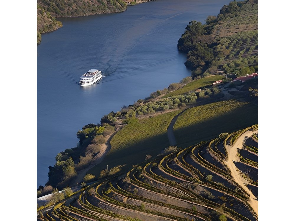 Douro Valley Cruise Porto to Pinhão: Breakfast, Lunch and Tasting