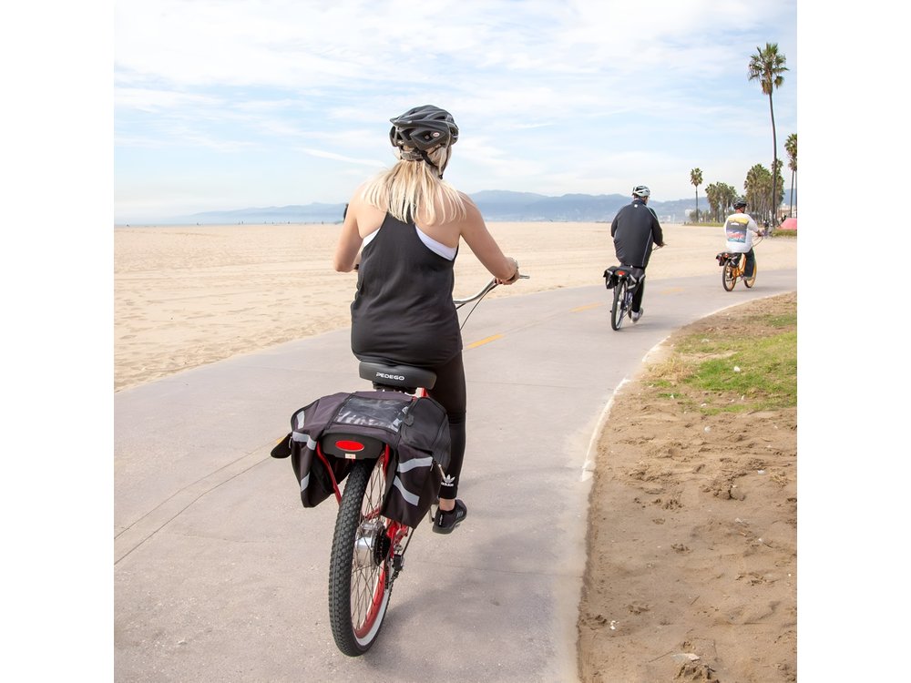 Small-Group Electric Bike Tour of Santa Monica and Venice Beach