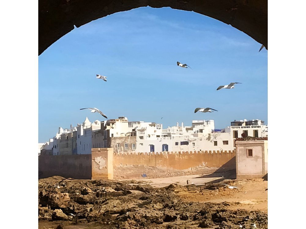 Marrakech to Essaouira: Private Tour