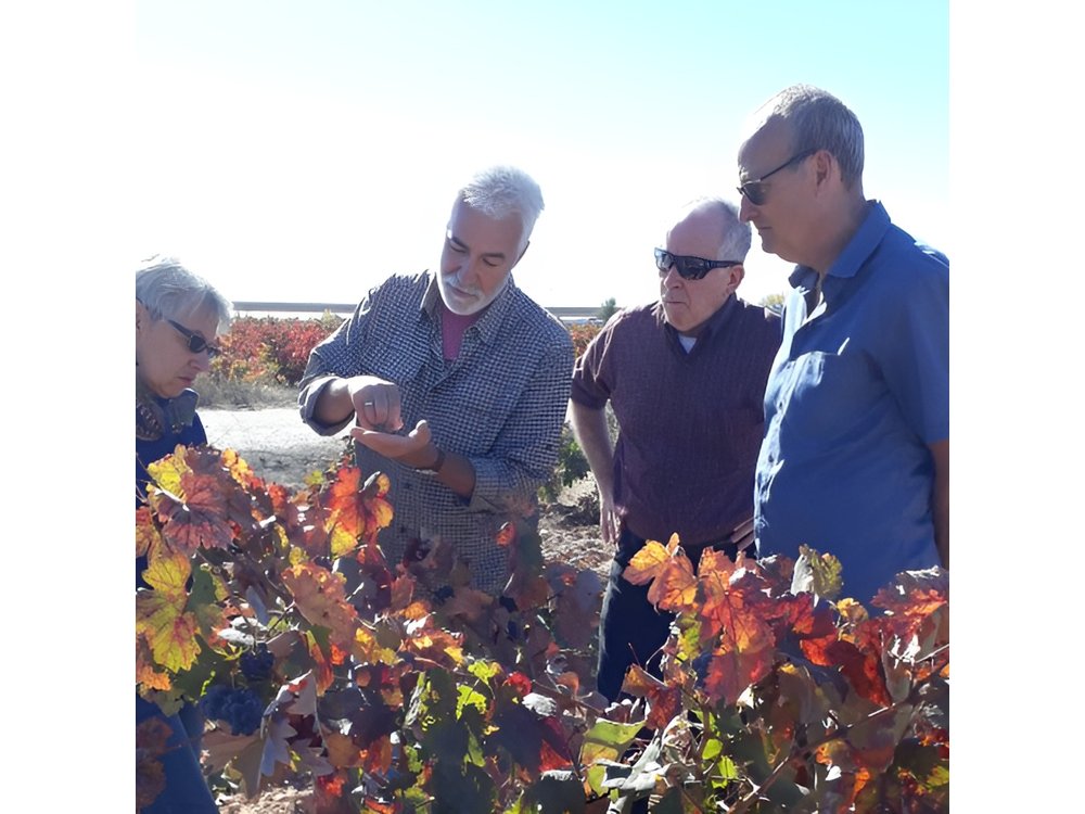 Private Wineries Tour from Valencia (morning tour)