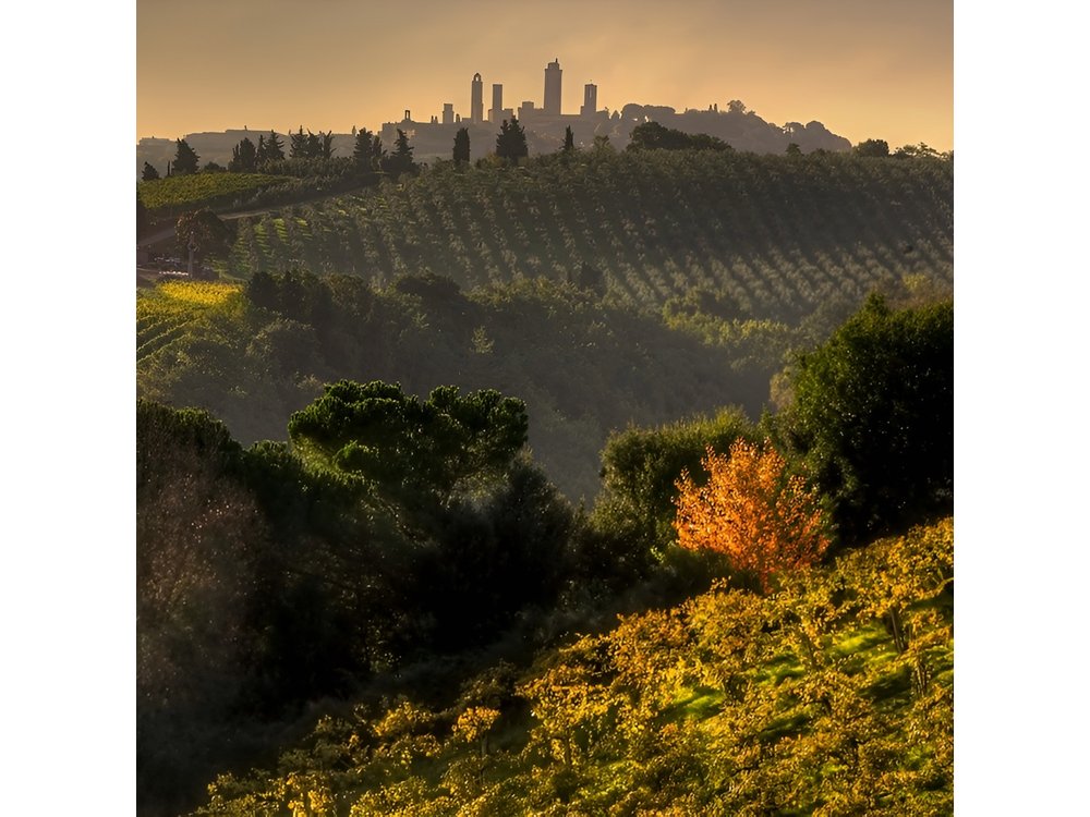 Small-Group Chianti and San Gimignano Sunset Trip from Siena