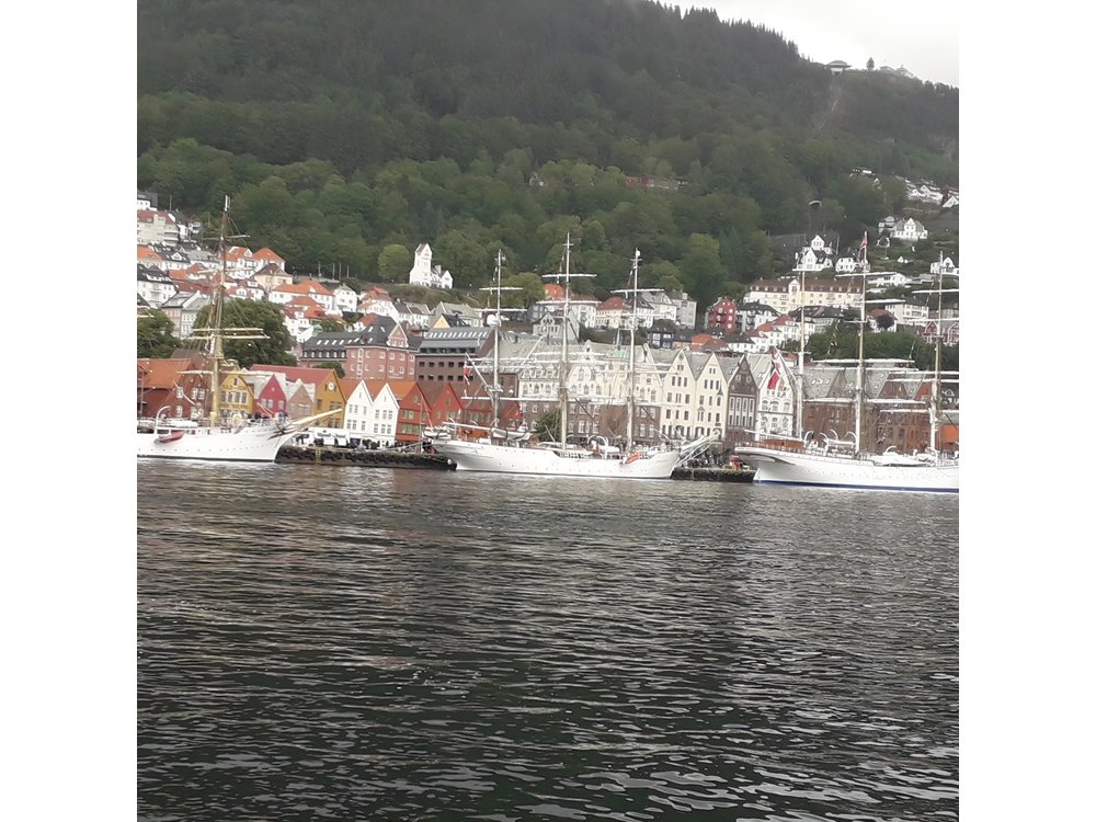 Walking tour: Medieval Spirit of Bergen + sweet Arctic gifts