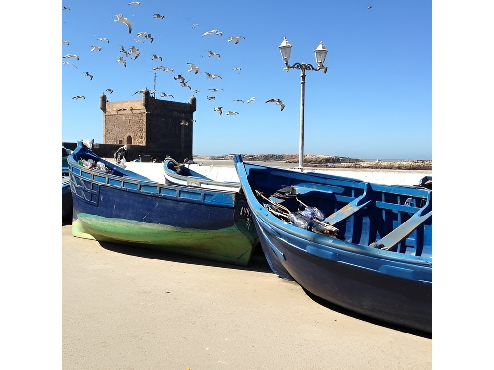 Day trip to Essaouira from Marrakech