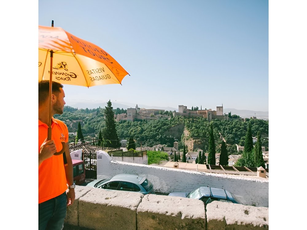 Private Walking Tour in Granada