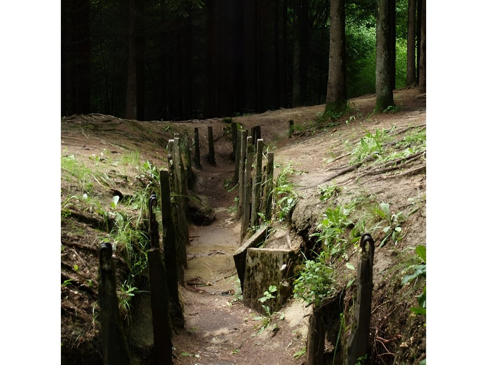 Private tour of the battlefields of Verdun from Paris in Van (2/7 travelers)