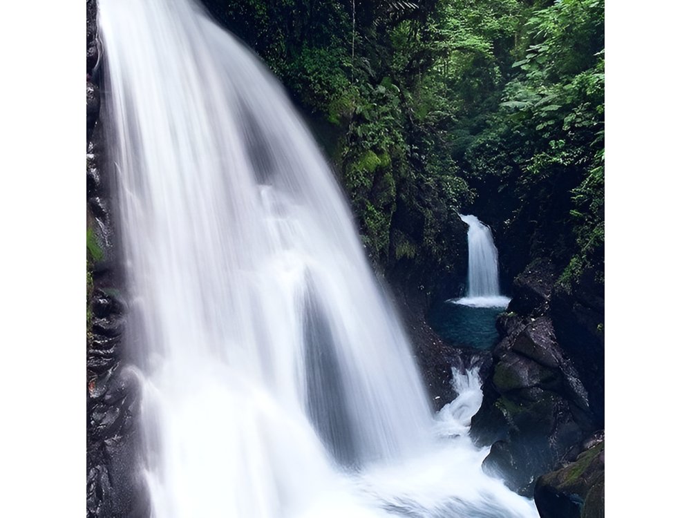 La Paz Waterfall Gardens and Wildlife Refuge Tour from San Jose