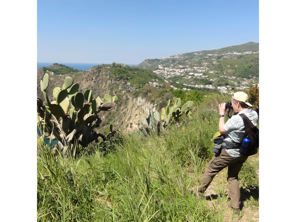 Half-day east coast hike in Ischia island with pick-up