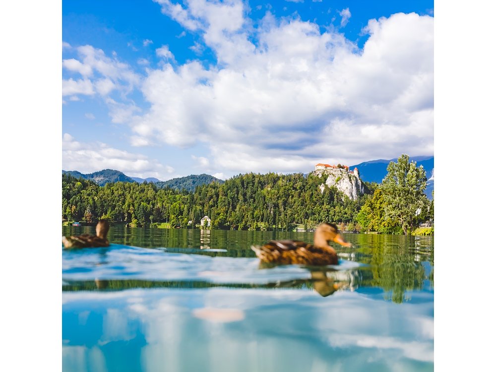 Bled lake, island & castle | Private half day trip from Ljubljana