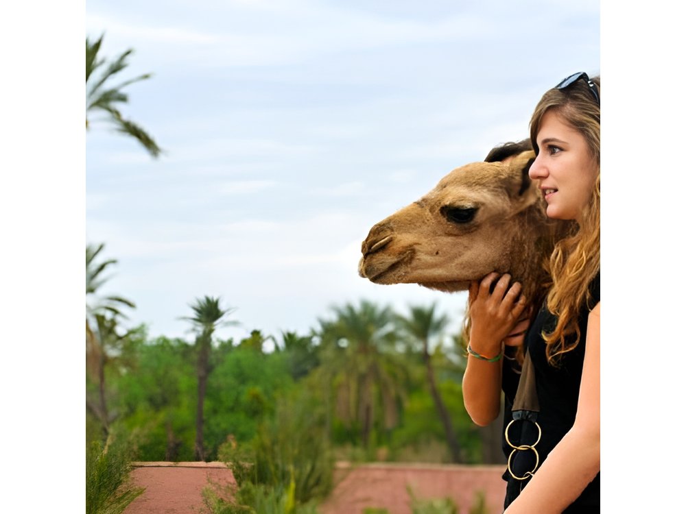 Desert Agafay and Atlas Mountains & Camel ride Day Trip From Marrakech