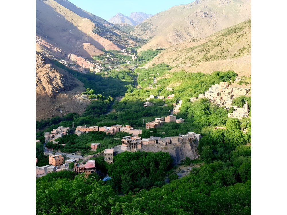 Atlas Mountains Day trip,3 Valleys & Waterfalls from Marrakech.