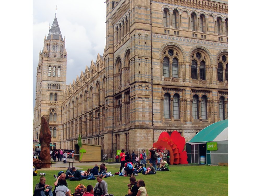 A Day at the Museum - Natural History Museum London