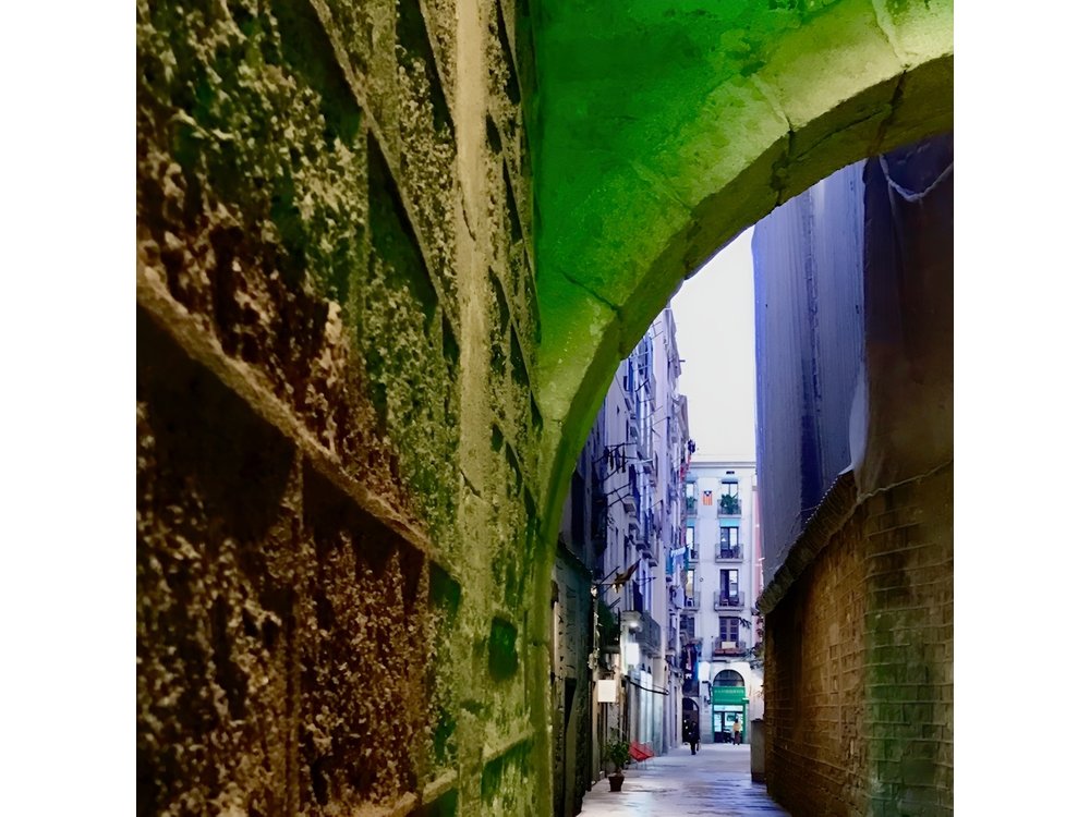 Explore hidden streets of Barcelona with a local - Private Tour