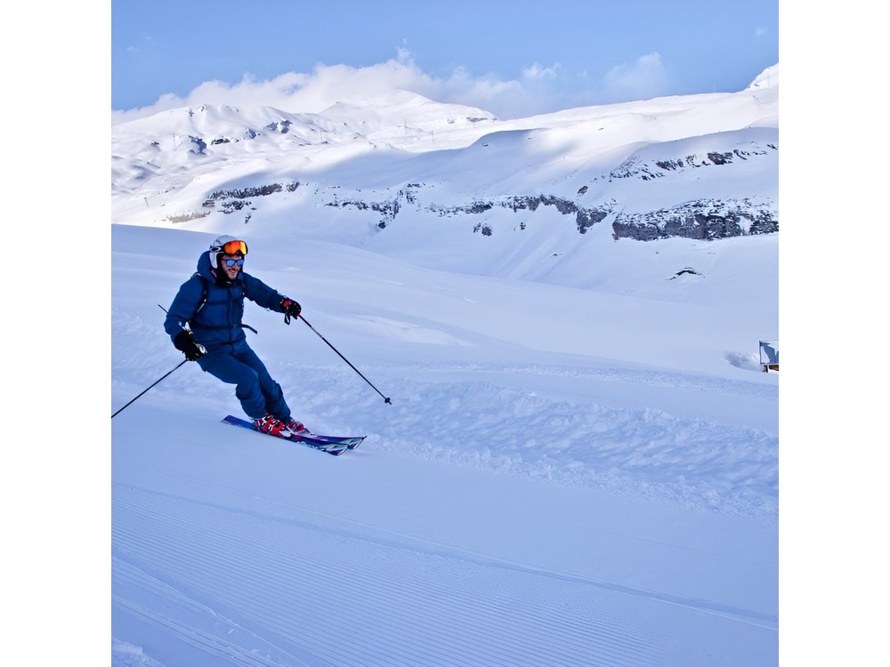 Private Ski Instructor from Lucerne including Transport