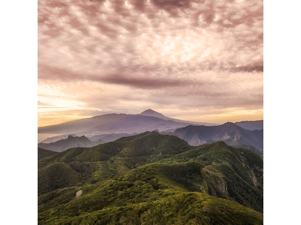 Half Day Tour Discovering Anaga Tenerife