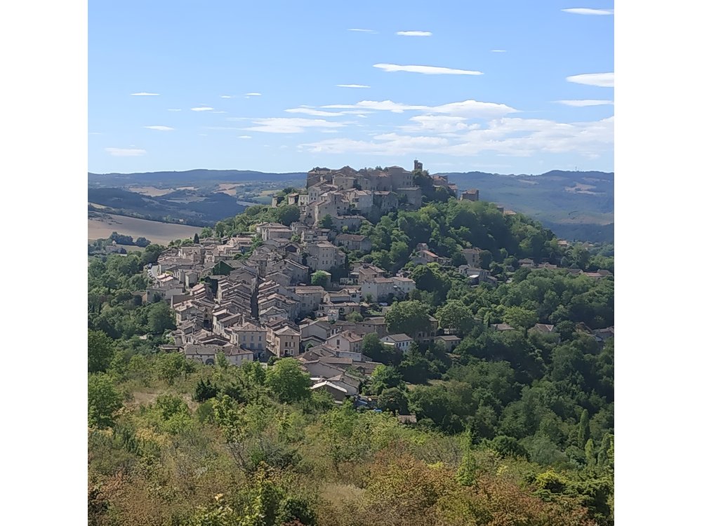 Albi and Cordes sur Ciel Private Day Tour from Toulouse