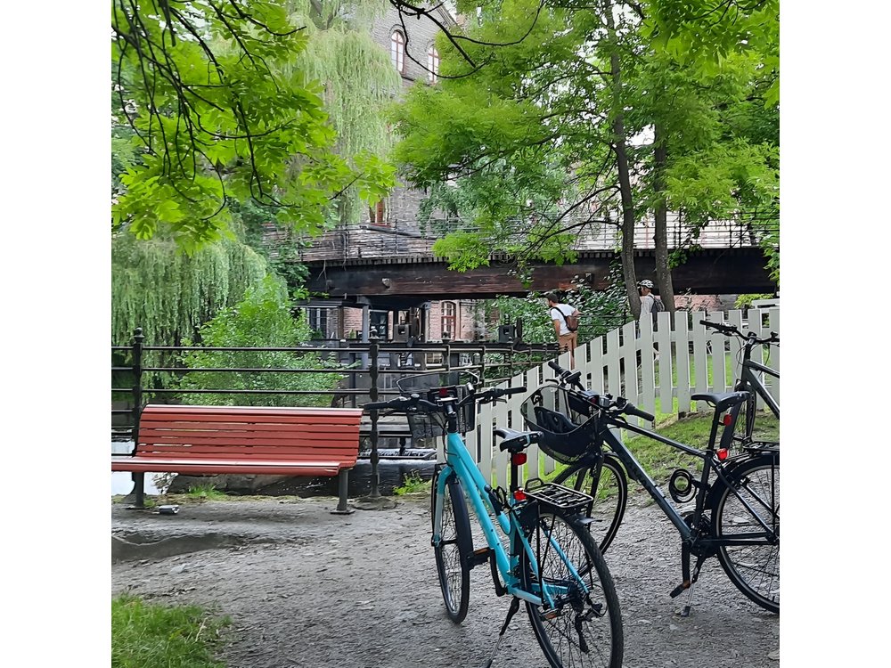 BIKING OSLO PRIVATE EXPERIENCE Upto 8 Participants Max