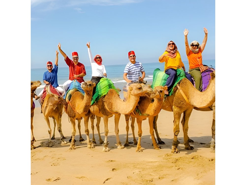 luxury 4 Hour Private Tour of Tangier