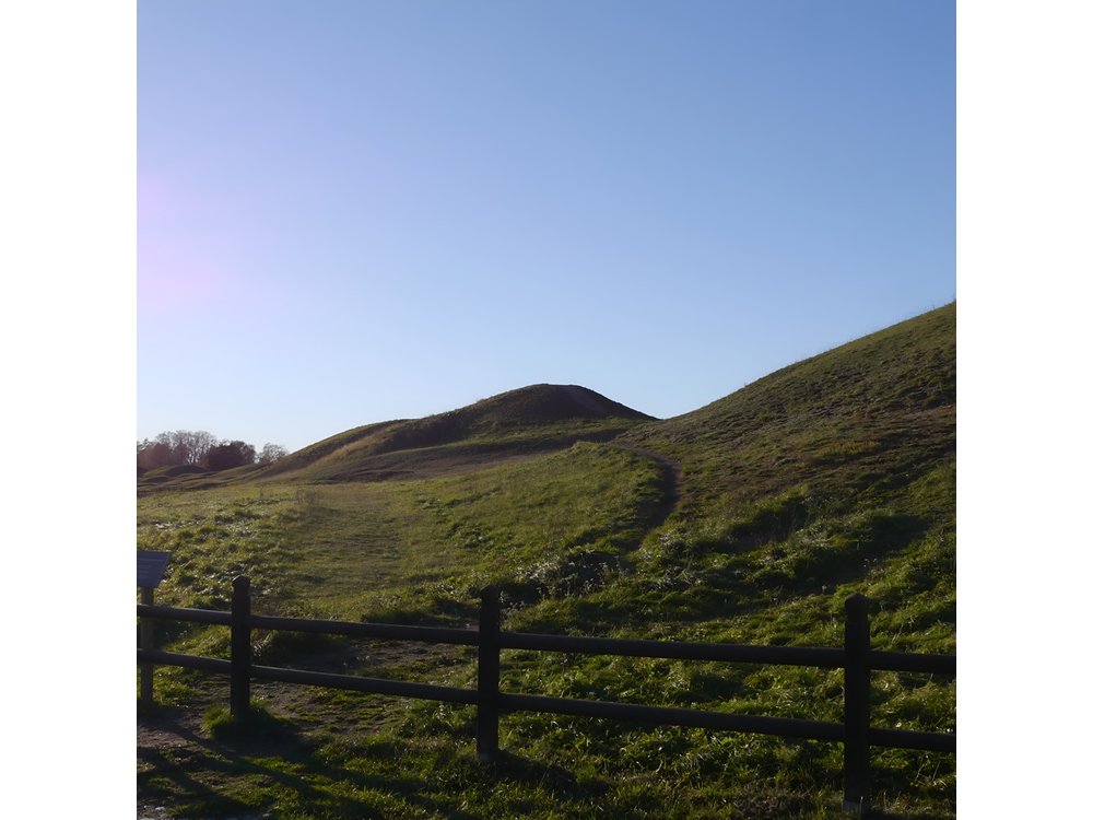 Guided tour 90min at Old Uppsala mounds and old Uppsala church