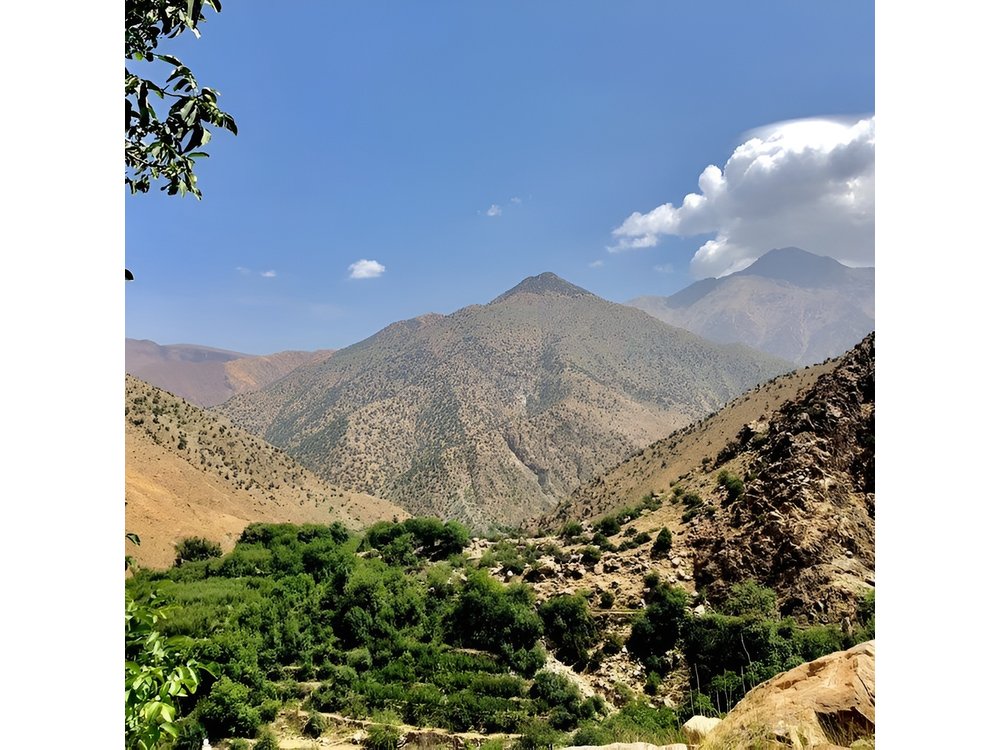 Half Day Tour From Marrakech to the Atlas Mountains & Ourika Valley
