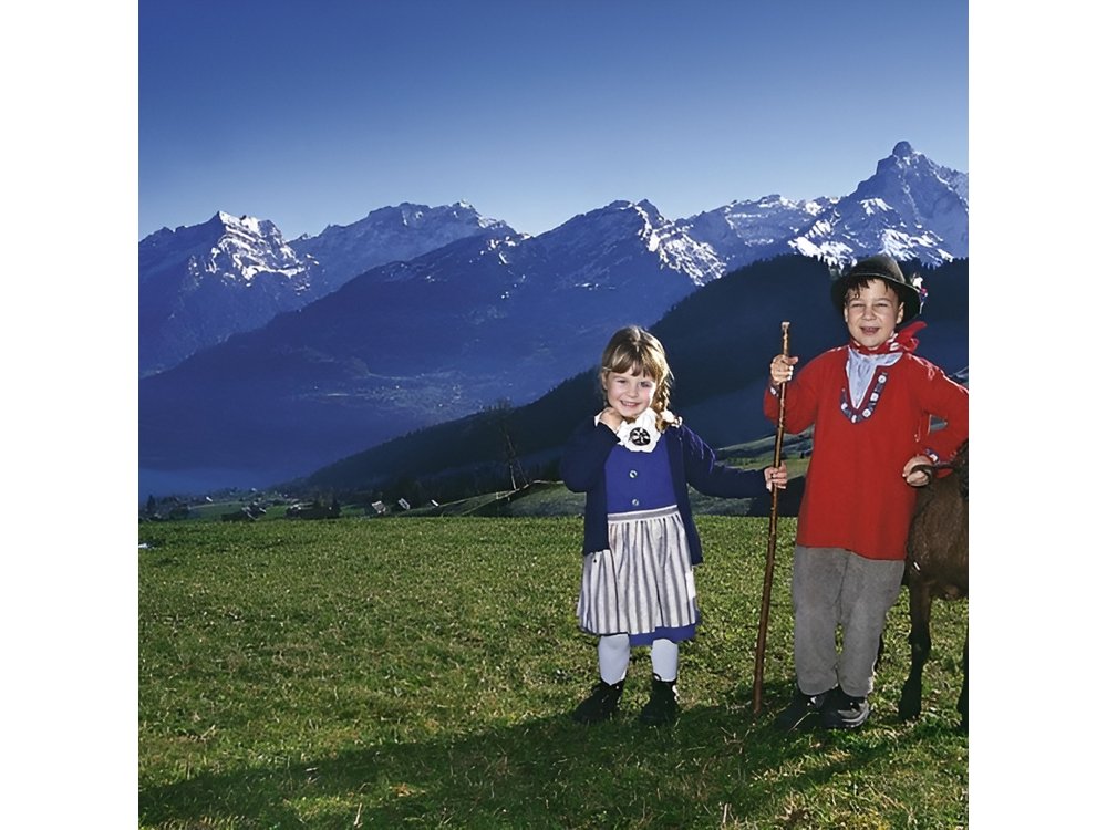 Heidiland and Liechtenstein Tour from Zurich