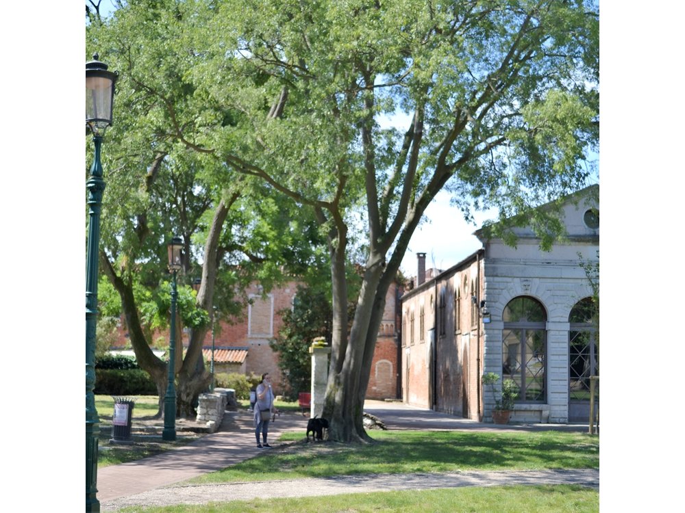 Secret Gardens of Venice Walking Tour
