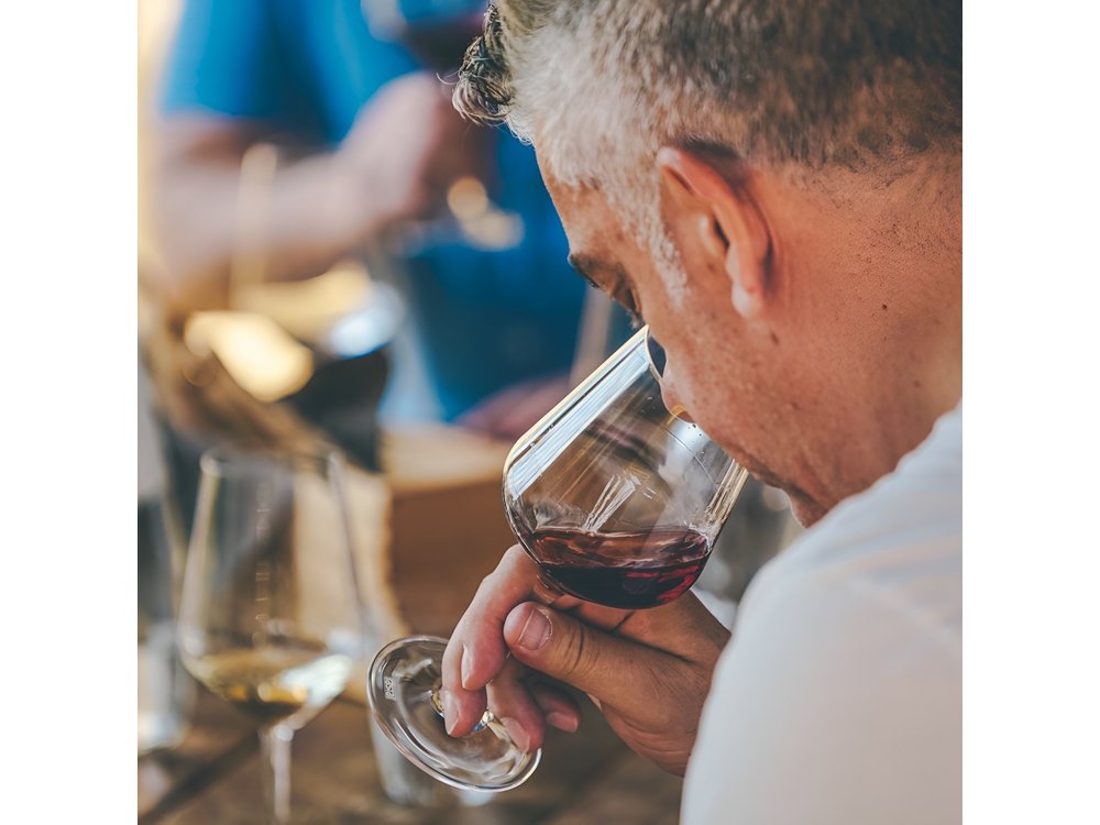Private Langhe and Barolo Wine Tour from Milan