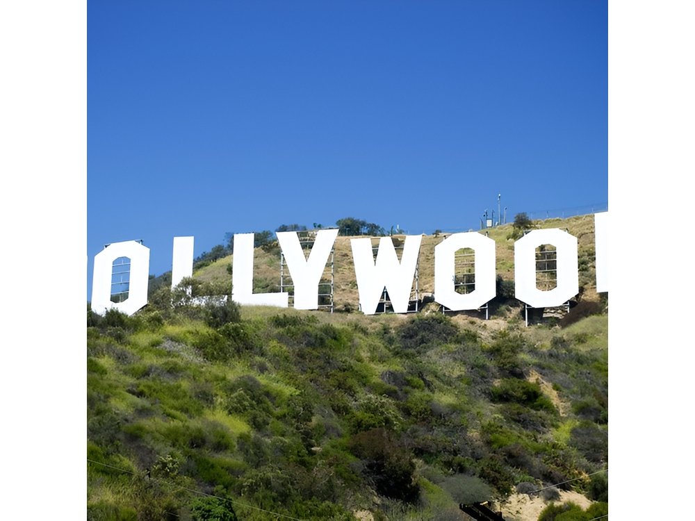 Sightseeing Tour of Los Angeles from LAX Hotels