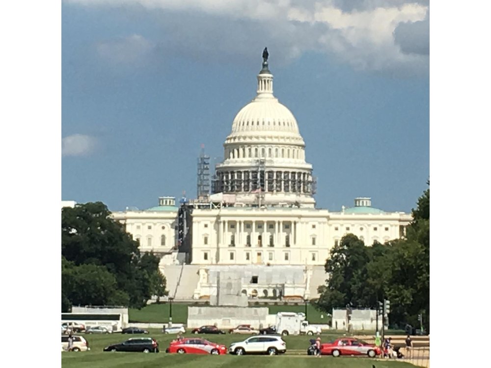 Washington DC and Monuments Day Tour from New York