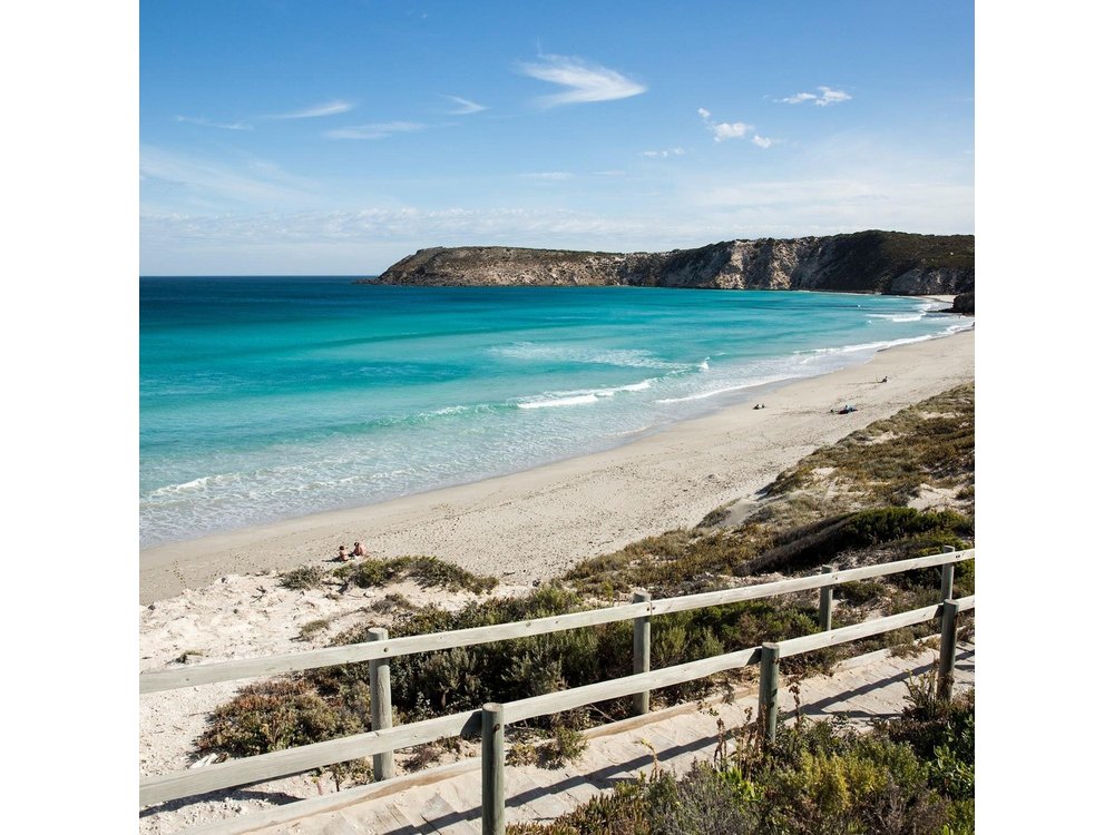One Day Kangaroo Island Sip & See tour with return ferry transfers from Adelaide