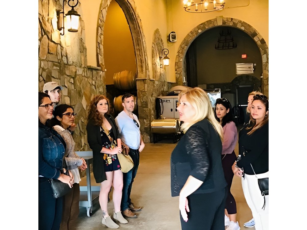 Virginia Wineries Guided Tour and Tastings from Washington DC