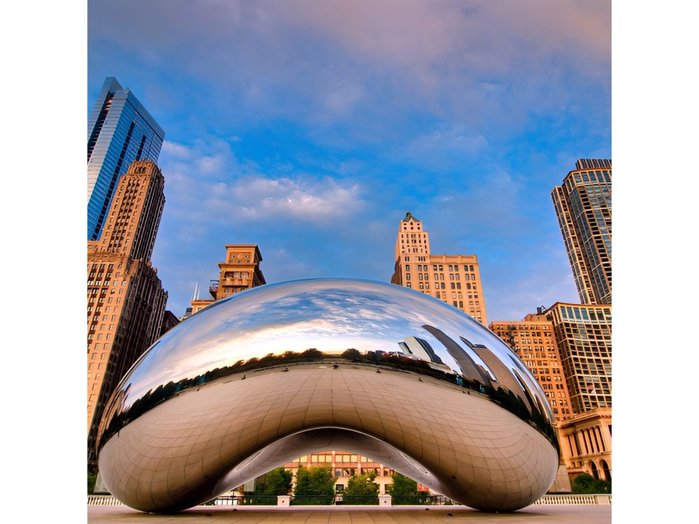 Chicago Private Custom City Tour with Hotel Pick Up